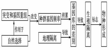 生物基材料 绿色发展的重要基石