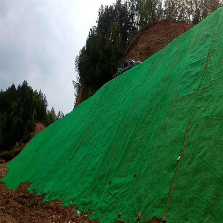 三维植被网护坡是指利用活性植物并结合土工合成材料等工程材料, - 抖