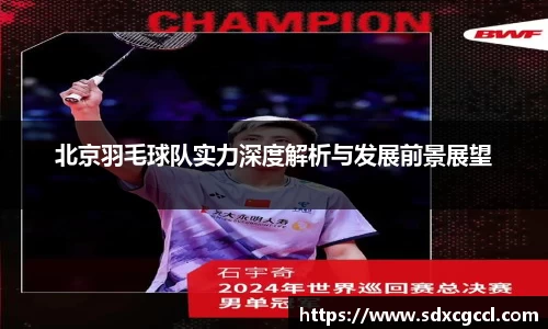 北京羽毛球队实力深度解析与发展前景展望
