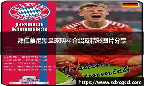 拜仁慕尼黑足球明星介绍及精彩图片分享